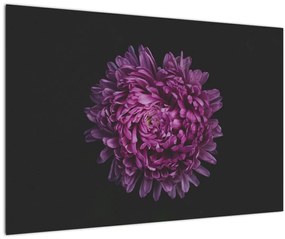 Tablou cu floare violetă (90x60 cm)