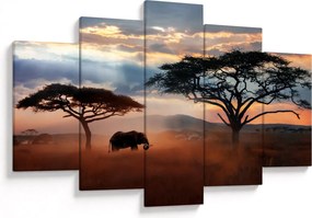 Tablou - Parcul Național Serengeti, Tanzania, Africa (150x105 cm)