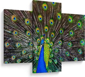Tablou - Păun (90x60 cm)