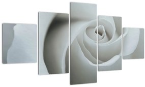 Tablou - Trandafirul alb (125x70 cm), în 40 de alte dimensiuni noi