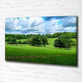 Imprimare tablou canvas Dealuri verzi