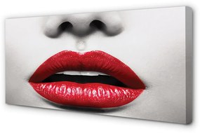 Tablouri canvas buzele rosii femeie nas