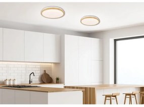 Plafonieră LED GANDAVA LED/24W/230V