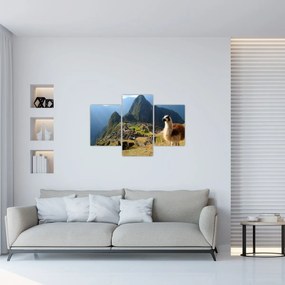 Tablou - Lama și Machu Picchu (90x60 cm)