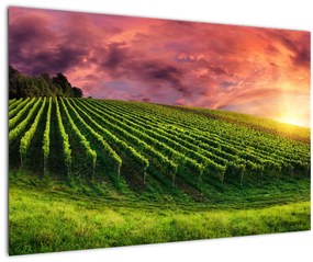 Tablou cu vie cu cerul color (90x60 cm)