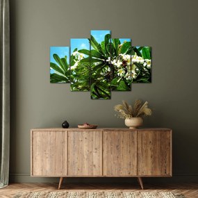 Tablou - Plumeria (150x105 cm)
