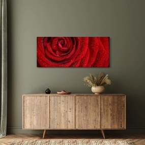 Tablou - detaliu de trandafir (120x50 cm)