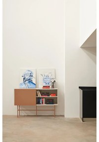 Comodă joasă cu ușă glisantă roșu cărămiziu-bej 140x91 cm Nube – Teulat