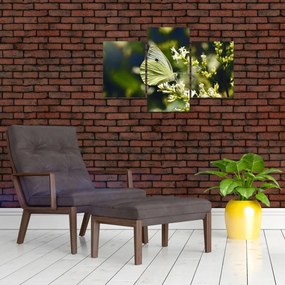 Tablou cu fluture (90x60 cm)