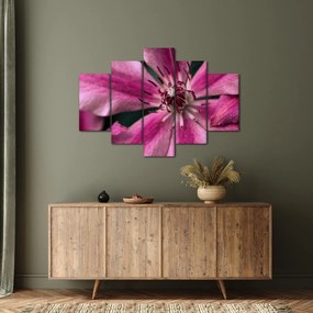 Tablou cu floarea roz de clematis (150x105 cm)