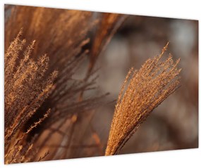 Tablou - Cortaderie (90x60 cm)