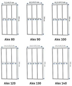 Rea Alex usi de dus 120 cm culisanta auriu periat sticla transparenta REA-K2501