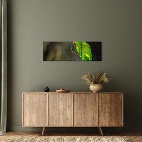 Tablou cu papagal pe greangă (cu ceas) (90x30 cm)