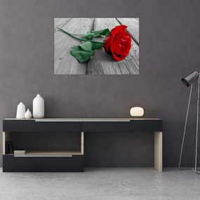 Tablou - Trandafir roșu cu tulpină verde (90x60 cm)