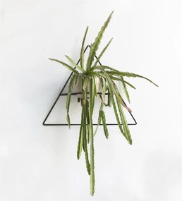 Suport de perete pentru ghivece Really Nice Things Triangle, negru