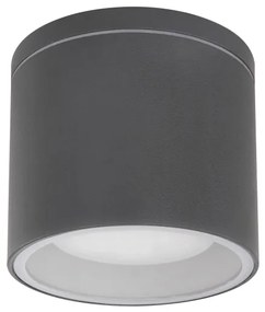 Globo 32063A - Plafonieră exterior ALCALA 1xGX53/11W/230V IP44