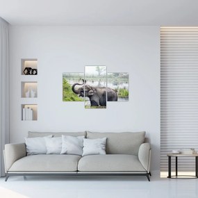 Tablou - Elefant de scăldat (90x60 cm)