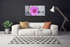 Tablou pe panza canvas Pietrele florale flori roz gri