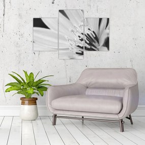 Tablou - Floare albă și neagră (90x60 cm)