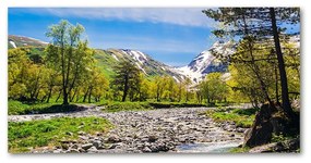 Tablou sticlă acrilică River în munți