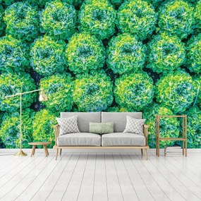Fototapet - Salată (152,5x104 cm)