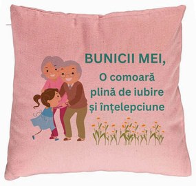 Perna Decorativa pentru Bunici 3, 40x40 cm, Roz, Husa Detasabila, Burduf