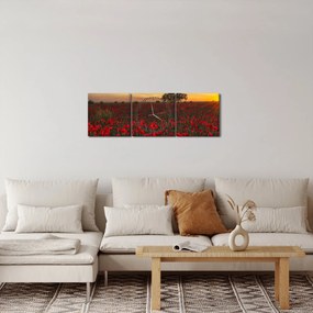 Tablou cu lunca și macii (cu ceas) (90x30 cm)