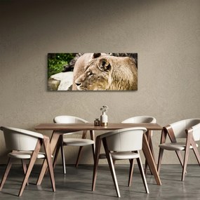 Tablou cu leoaică (120x50 cm)