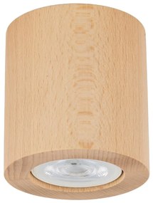 Spot EVE 1xGU10/10W/230V fag