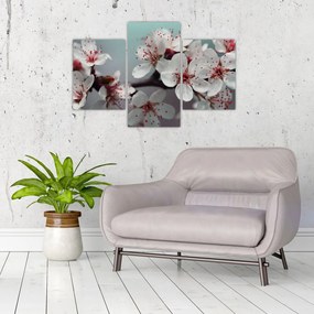 Tablou cu floare - roșie (90x60 cm)