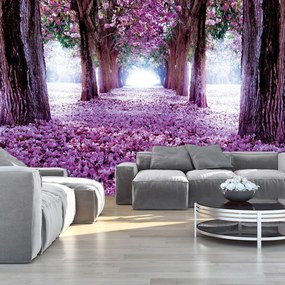 Fototapet - Alee (152,5x104 cm)