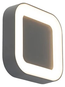 Lampă de perete și plafon gri pătrat IP54 - Ariel