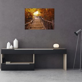 Tablou pe sticlă - Scări în natură în toamnă (70x50 cm)