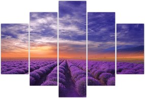 Tablou câmpului cu lavandă (150x105 cm)