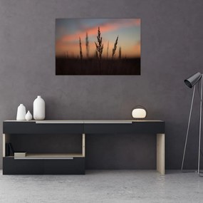 Tablou - Silueta plantei (90x60 cm)