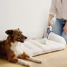 Aspirator cu spalare fara fir Shark StainForce HX100EUT, 100 W, 15 min, Covoare, Tapiterie, Saltele, Autocuratare, Alb