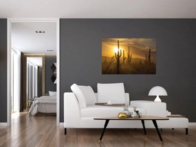 Tablou - Cactuși Saguaro (90x60 cm)