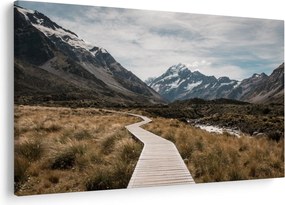 Tablou - Poteca în valea muntelui Mt. Cook (90x60 cm)