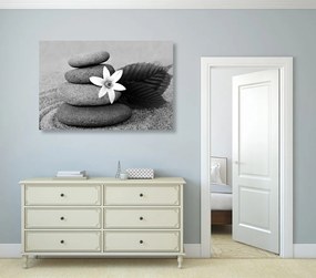 Tablou floare și pietre în nisip în design alb-negru