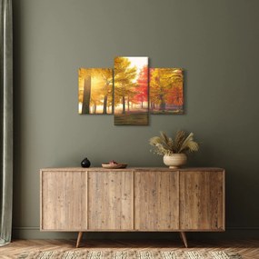 Tablou cu copaci toamna (90x60 cm)