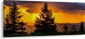 Tablou - coniferi (120x50 cm)
