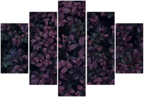 Tabou - Frunze roșu închis (150x105 cm)