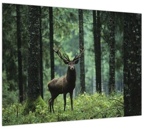 Tablou - Cerb în pădurea adâncă (70x50 cm)