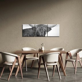 Tablou - Vacă scoțiană 2,alb-negru (cu ceas) (90x30 cm)