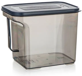 Banquet Cutie de depozitare cu mâner ZOYA 2,75 l,fumurie, 2,75 l