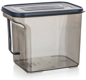 Banquet Cutie de depozitare cu mâner ZOYA 2,75 l,fumurie, 2,75 l