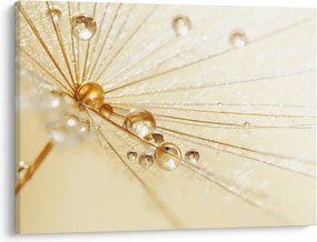 Tablou - Fotografie macro de păpădie (70x50 cm)