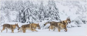 Tablou - Lupi în munți (120x50 cm)