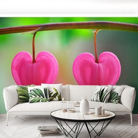 Fototapet Flower Heart