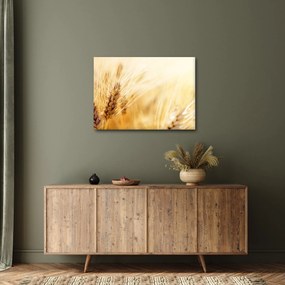 Tablou- detaliu cu (70x50 cm)